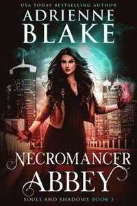 bokomslag Necromancer Abbey