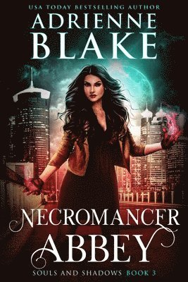 bokomslag Necromancer Abbey