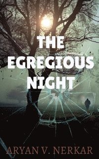 bokomslag The Egregious Night