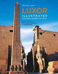 bokomslag Luxor Illustrated, Revised and Updated