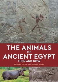 bokomslag The Animals of Ancient Egypt: Then and Now