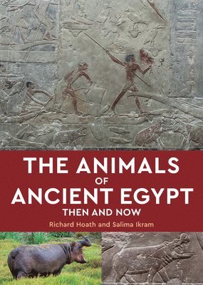 bokomslag The Animals of Ancient Egypt: Then and Now
