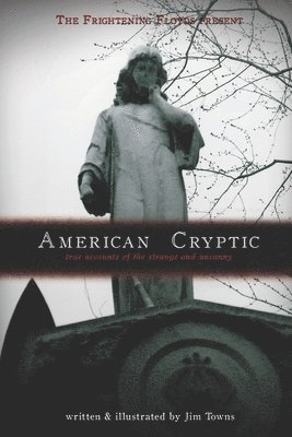 Jim Towns - American Cryptic, Häftad