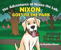 bokomslag Nixon Goes to the Park