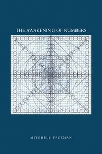 bokomslag The Awakening of Numbers