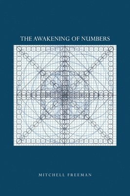 bokomslag The Awakening of Numbers