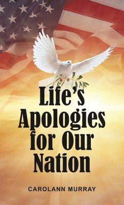 bokomslag Life's Apologies for Our Nation