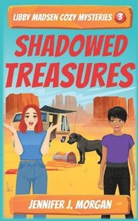 bokomslag Shadowed Treasures