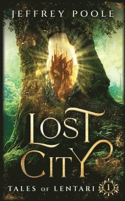 bokomslag Lost City