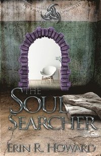 bokomslag The Soul Searcher