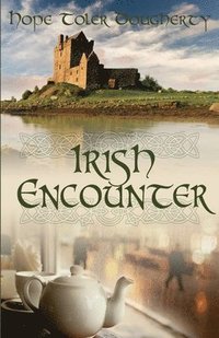 bokomslag Irish Encounter