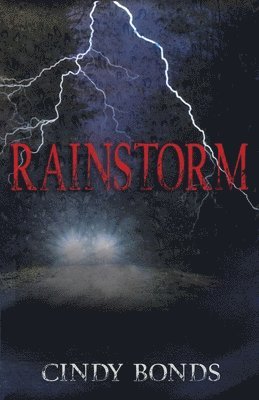 bokomslag Rainstorm