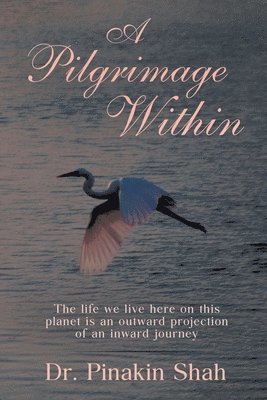 A Pilgrimage Within: The life we live here on this planet is an outward projection of an inward journey 1