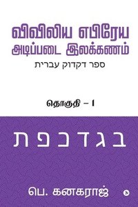 bokomslag Preliminary Biblical Hebrew grammar