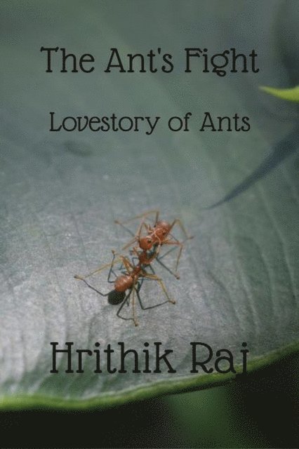 The Ant's Fight 1