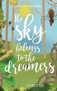 bokomslag Sky Belongs to the Dreamers