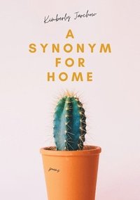 bokomslag Synonym For Home