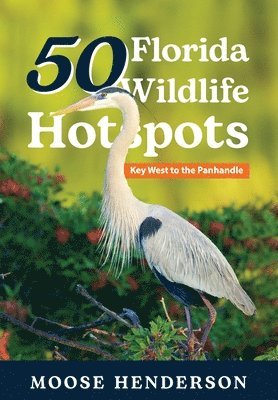 Moose Henderson - 50 Florida Wildlife Hotspots, Inbunden