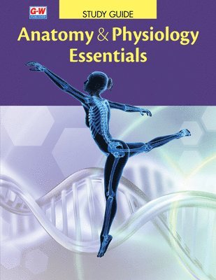 bokomslag Anatomy & Physiology Essentials