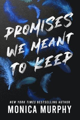 Promises We Meant to Keep 1