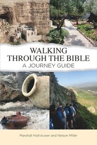 bokomslag Walking Through the Bible