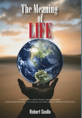 bokomslag Meaning of Life