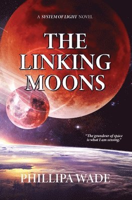 bokomslag Linking Moons