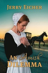 bokomslag An Amish Dilemma