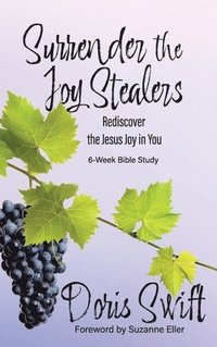 bokomslag Surrender the Joy Stealers