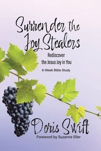 bokomslag Surrender the Joy Stealers