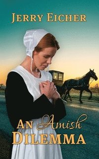 bokomslag An Amish Dilemma