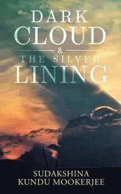 Dark Cloud and the Silver Lining 1