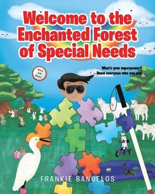 bokomslag Welcome to the Enchanted Forest of Special Needs