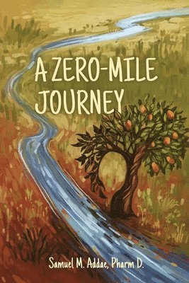 bokomslag Zero-Mile Journey
