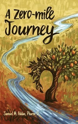 bokomslag Zero-Mile Journey