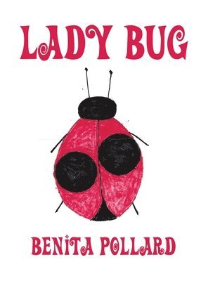 bokomslag Lady Bug