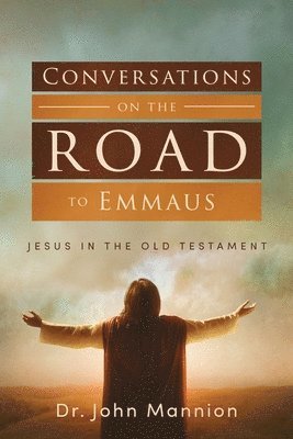 bokomslag Conversations on the Road to Emmaus