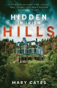 bokomslag Hidden in Irish Hills
