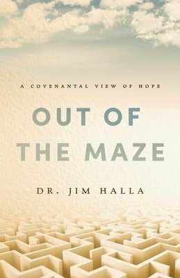 bokomslag Out of the Maze