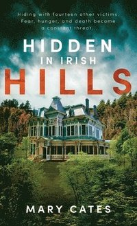 bokomslag Hidden in Irish Hills