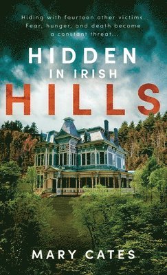 bokomslag Hidden in Irish Hills