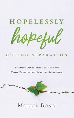 bokomslag Hopelessly Hopeful During Separation