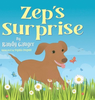 Zep's Surprise 1