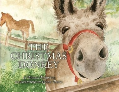 bokomslag Christmas Donkey