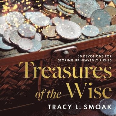 bokomslag Treasures of the Wise