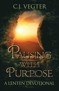 bokomslag Pausing with Purpose