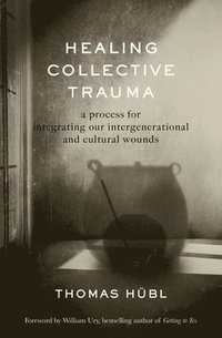 bokomslag Healing Collective Trauma