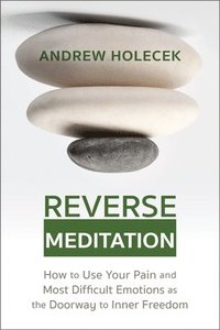 bokomslag Reverse Meditation