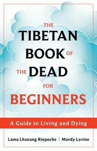 bokomslag The Tibetan Book Of The Dead For Beginners