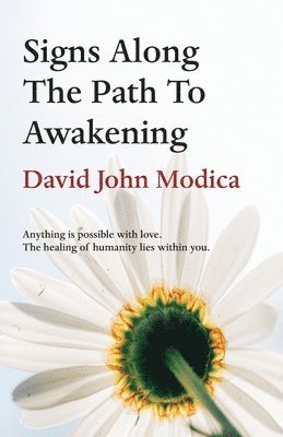 David John Modica - Signs Along The Path To Awakening, Häftad